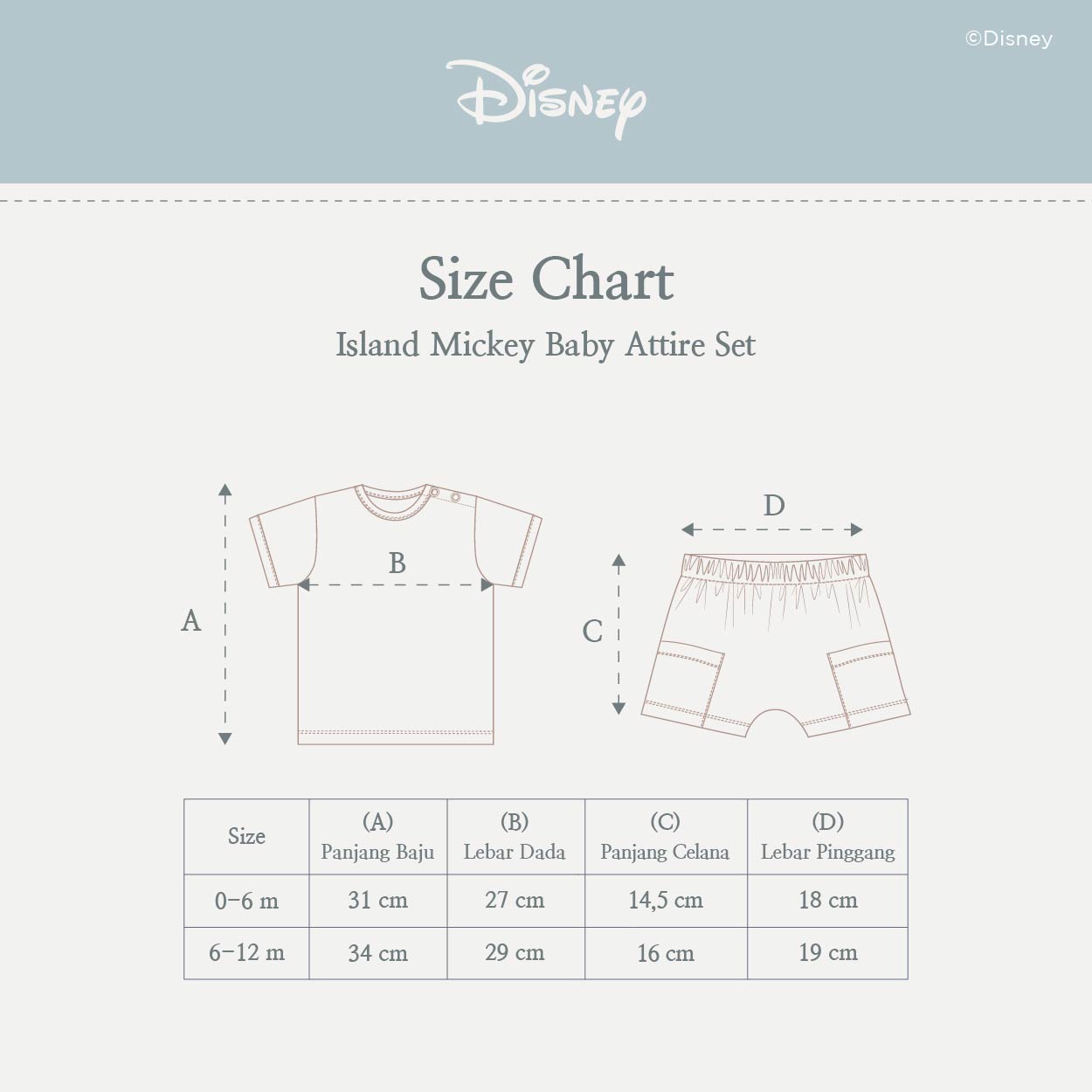 Disney Island Mickey Baby Attire Set