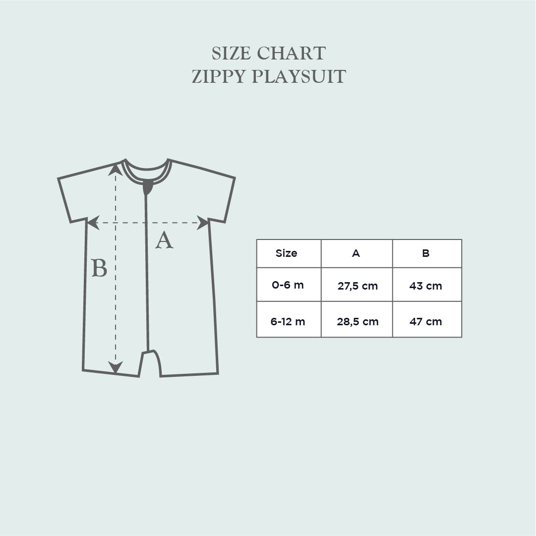 Baby Zippy Playsuit 10.0