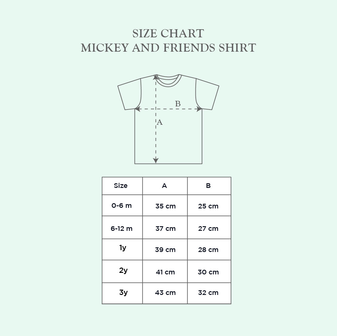 Mickey and Friends Shirt