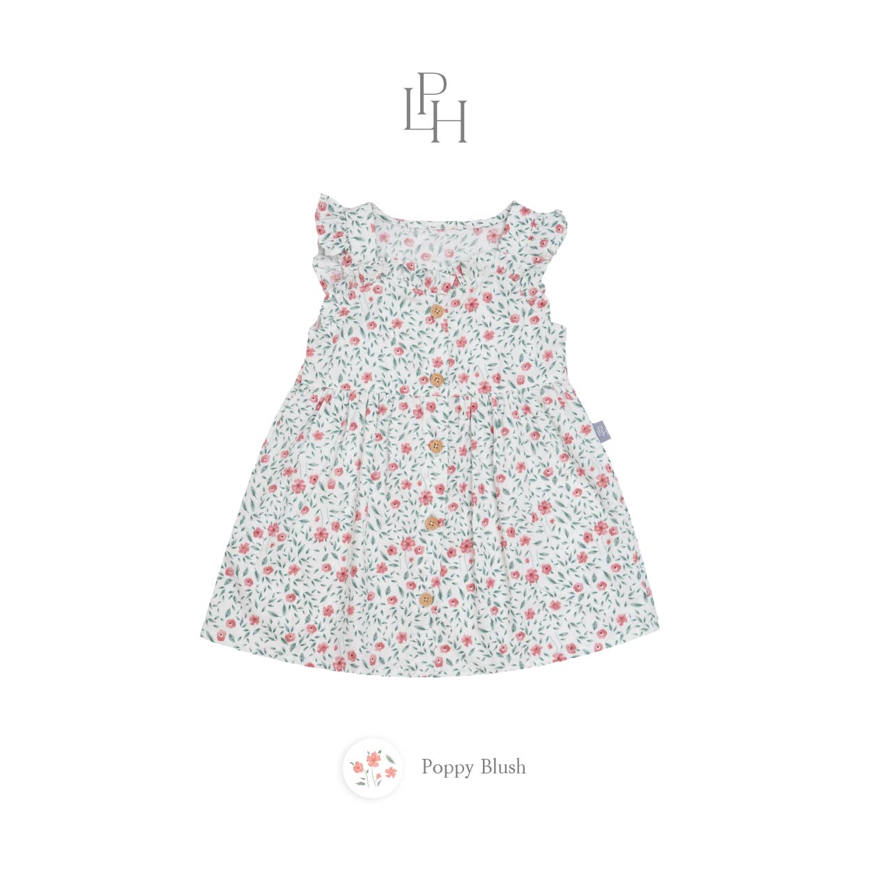 Clara Dress 2.0