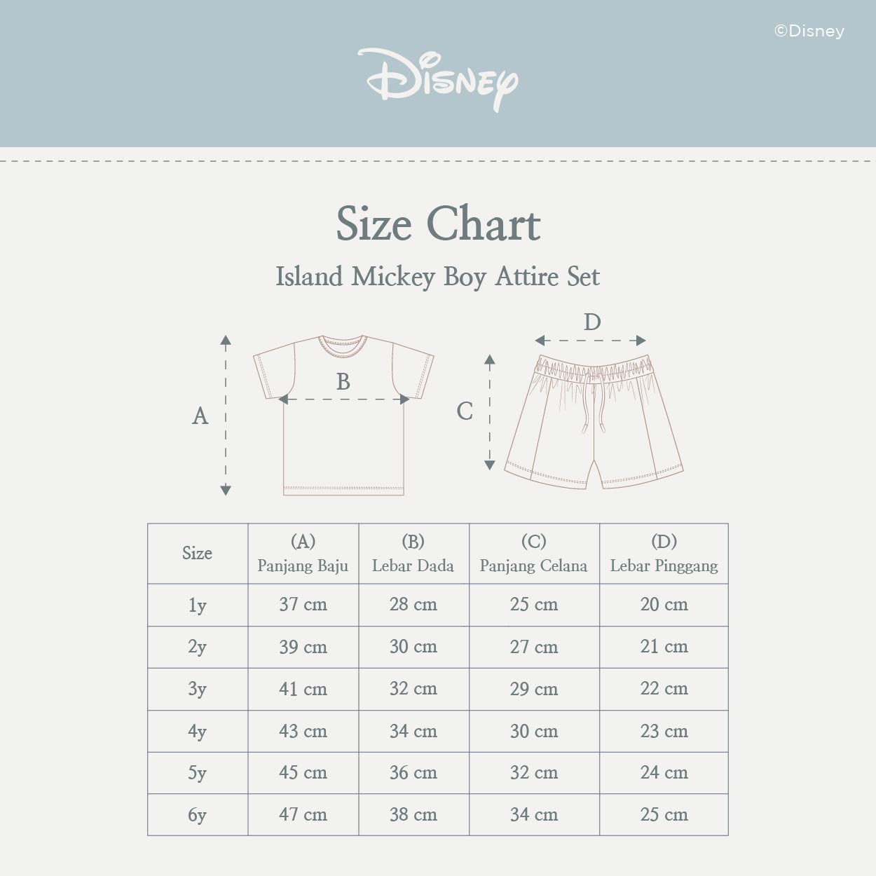 Disney Island Mickey Boy Attire Set